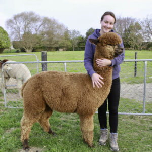 Alpaca Farm Tour